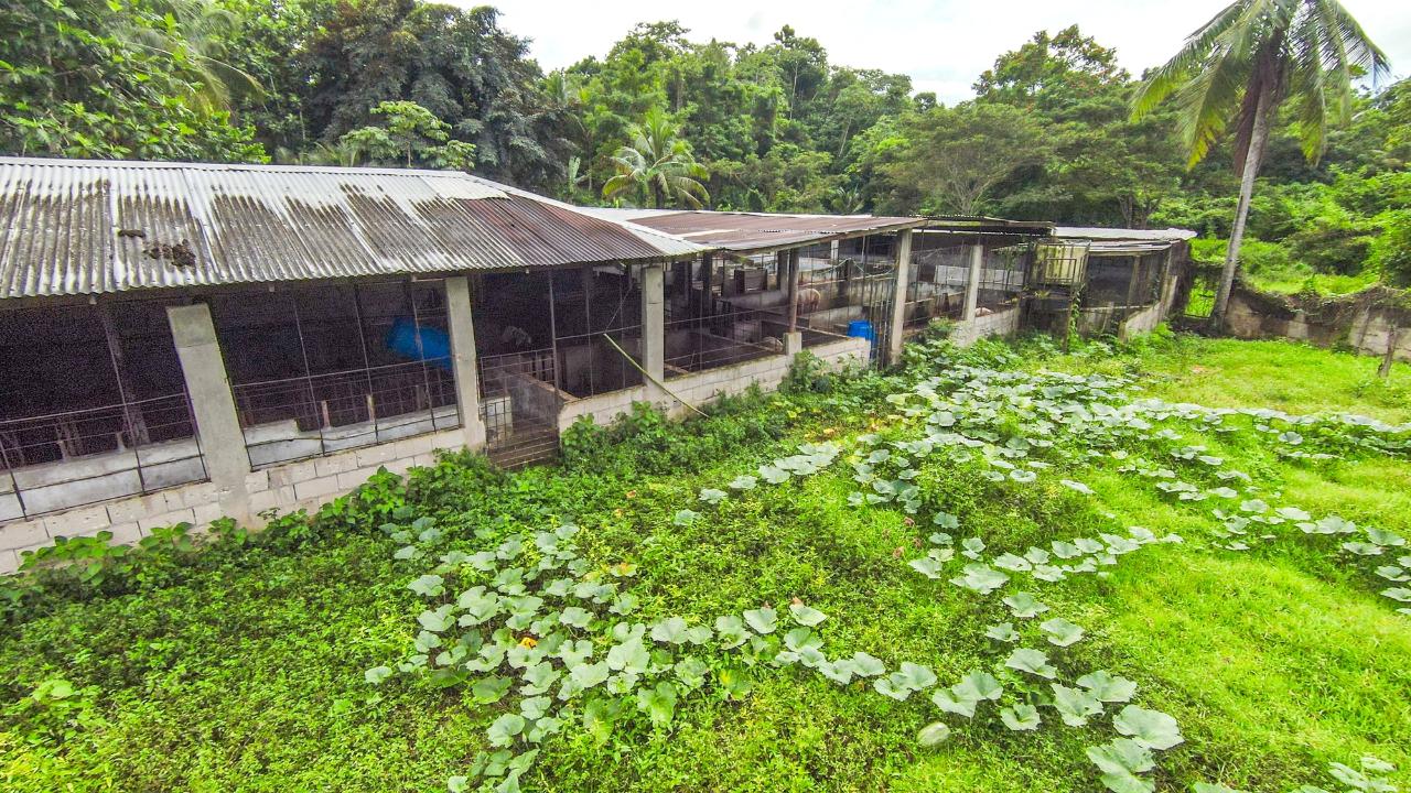 Twenty-First image of Cashew Walk, West Prospec in Bog Walk, St. Catherine, Jamaica - property is For Sale