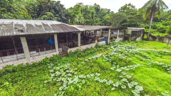 Twenty-First image of Cashew Walk, West Prospec in Bog Walk, St. Catherine, Jamaica - property is For Sale