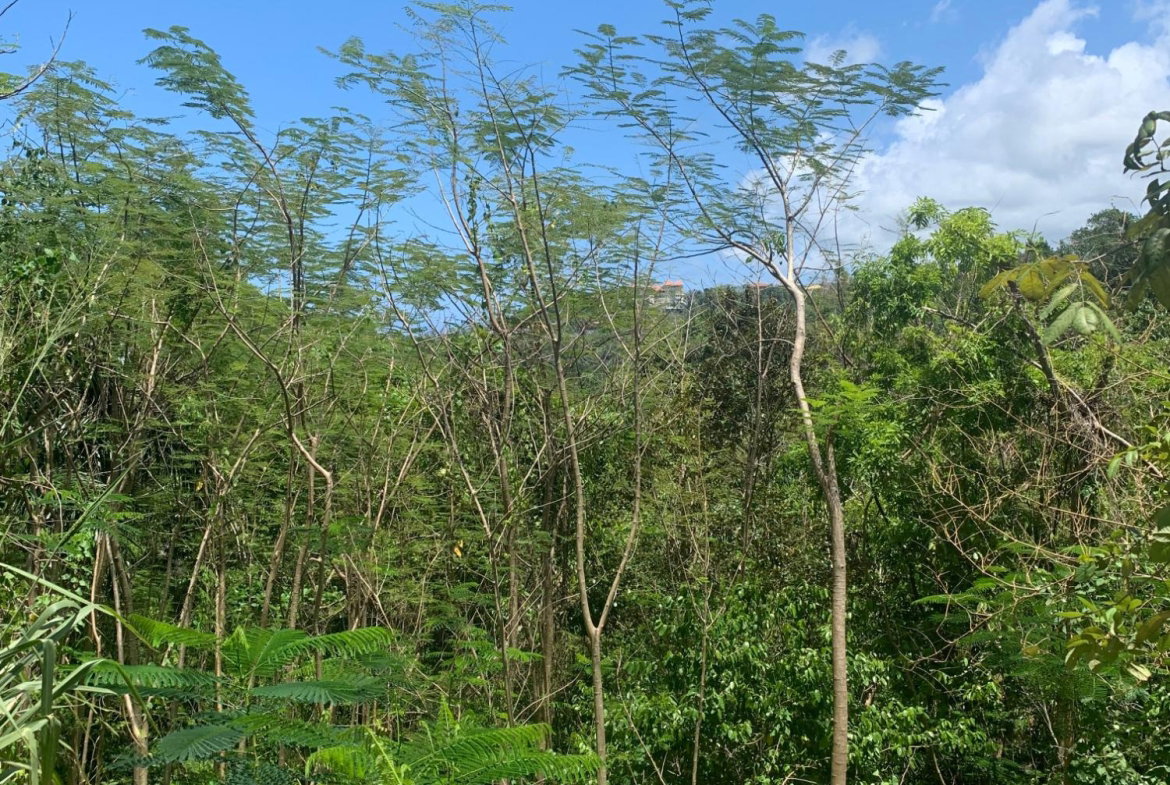 Eleventh image of Lot 2- Chatworth, Retreat, in Rio Nuevo, St. Mary, Jamaica - property is For Sale