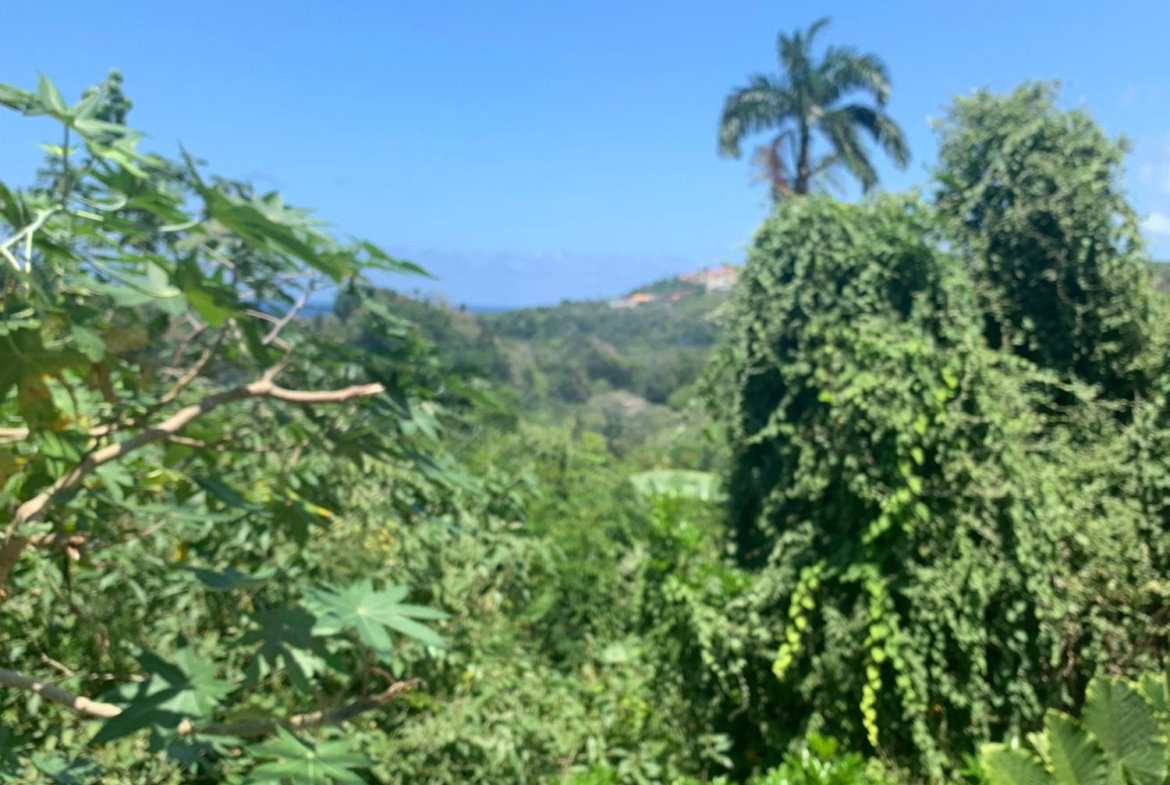Twelfth image of Lot 2- Chatworth, Retreat, in Rio Nuevo, St. Mary, Jamaica - property is For Sale