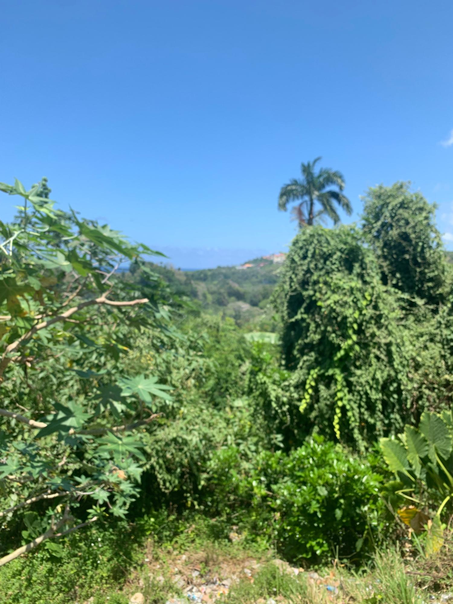 Twelfth image of Lot 2- Chatworth, Retreat, in Rio Nuevo, St. Mary, Jamaica - property is For Sale