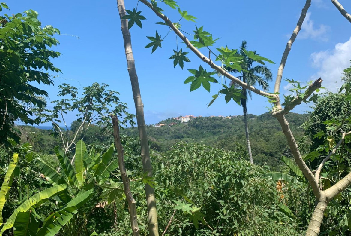 Thirteenth image of Lot 2- Chatworth, Retreat, in Rio Nuevo, St. Mary, Jamaica - property is For Sale