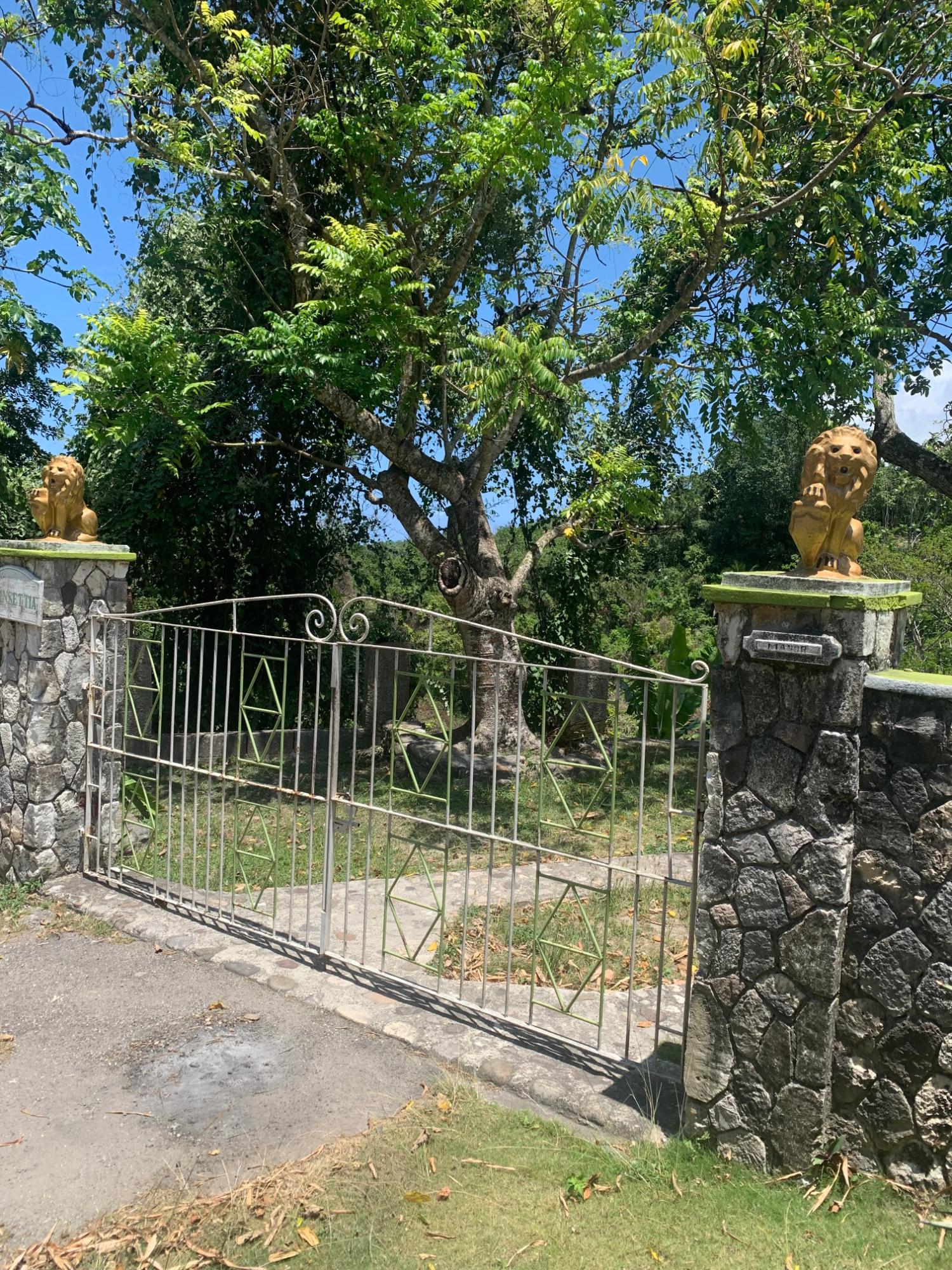 Fourth image of Lot 2- Chatworth, Retreat, in Rio Nuevo, St. Mary, Jamaica - property is For Sale