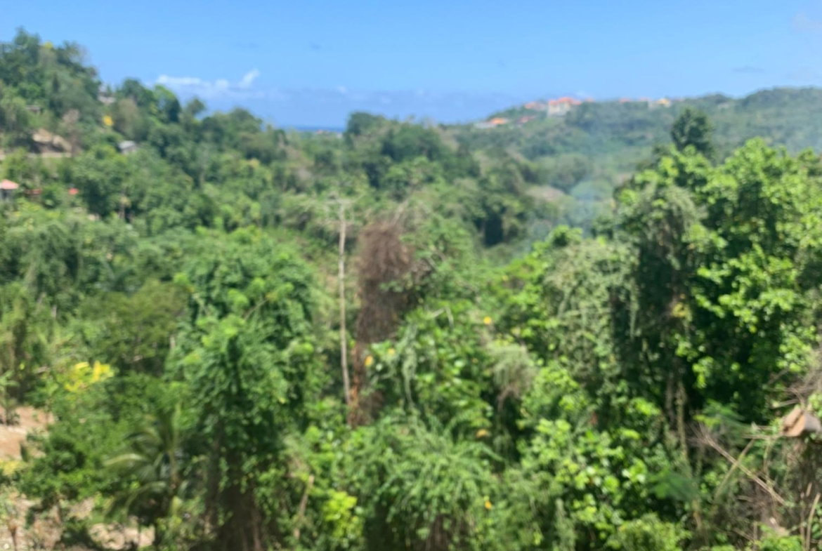 Tenth image of Lot 2- Chatworth, Retreat, in Rio Nuevo, St. Mary, Jamaica - property is For Sale