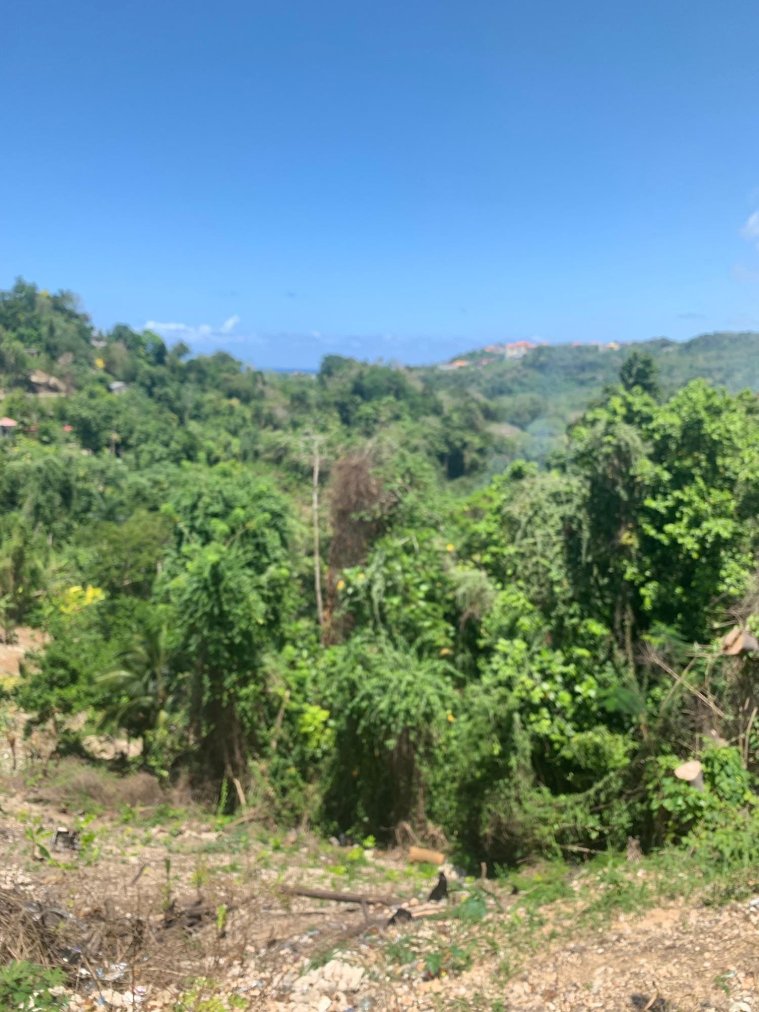 Tenth image of Lot 2- Chatworth, Retreat, in Rio Nuevo, St. Mary, Jamaica - property is For Sale