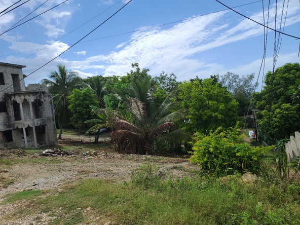Twentieth image of Pond Piece, Hopewell in Hopewell, Hanover, Jamaica - property is For Sale