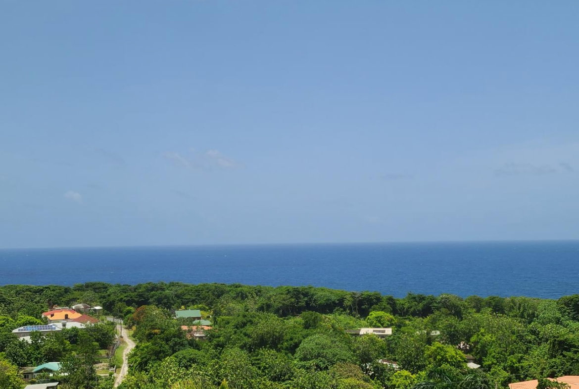 Third image of Lot-9 Harmony Height,fairy Hill in Fairy Hill, Portland, Jamaica - property is For Sale