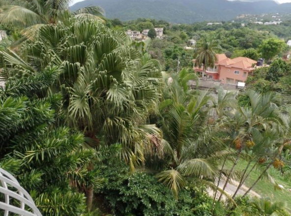 Twenty-Seventh image of 11 Wedmore Rise in Kingston 9, St. Andrew, Jamaica - property is For Sale