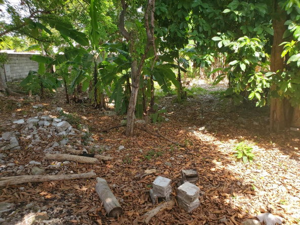 Fourth image of 35-37 Llandovery Club Caribbean in Runaway Bay, St. Ann, Jamaica - property is For Sale
