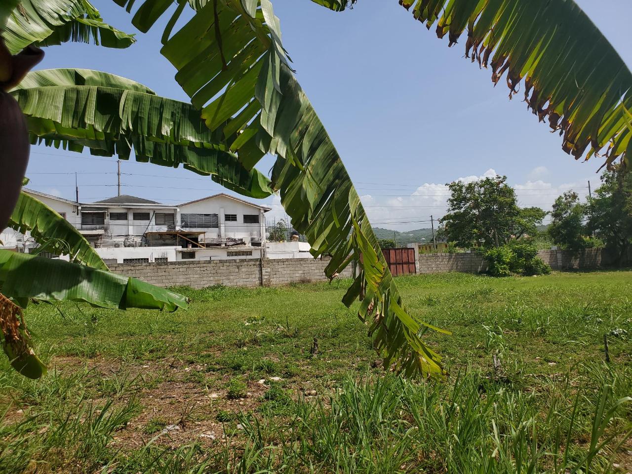 Fifth image of 35-37 Llandovery Club Caribbean in Runaway Bay, St. Ann, Jamaica - property is For Sale