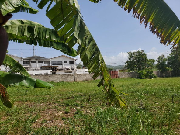 Fifth image of 35-37 Llandovery Club Caribbean in Runaway Bay, St. Ann, Jamaica - property is For Sale