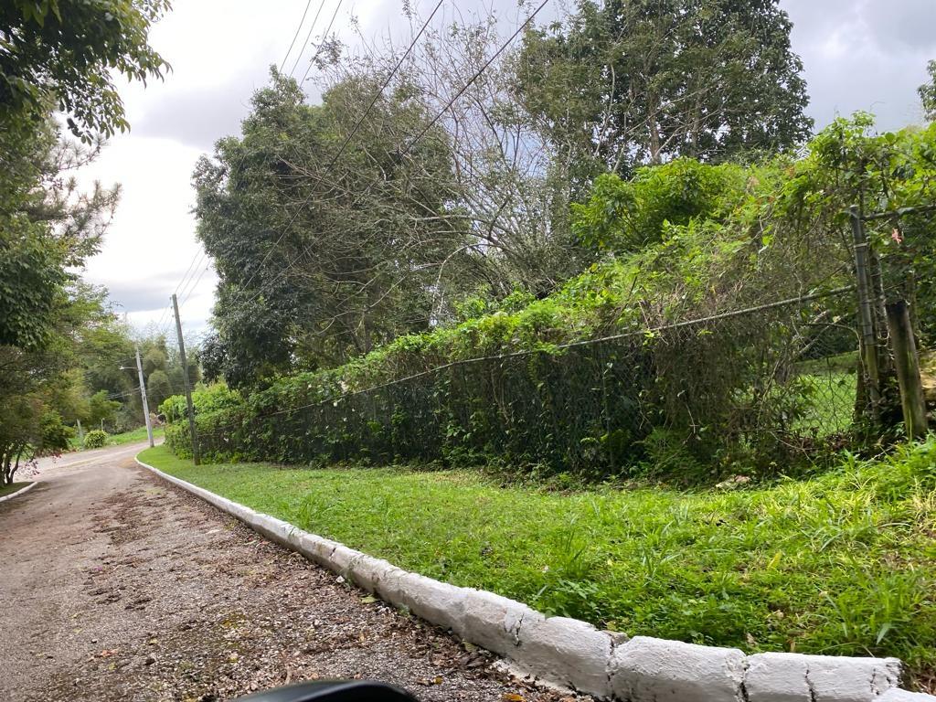 Fifteenth image of Lot 25-6 Pimento Mews, Ingleside, in Mandeville, Manchester, Jamaica - property is For Sale