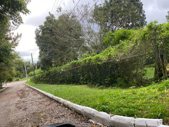 Fifteenth image of Lot 25-6 Pimento Mews, Ingleside, in Mandeville, Manchester, Jamaica - property is For Sale