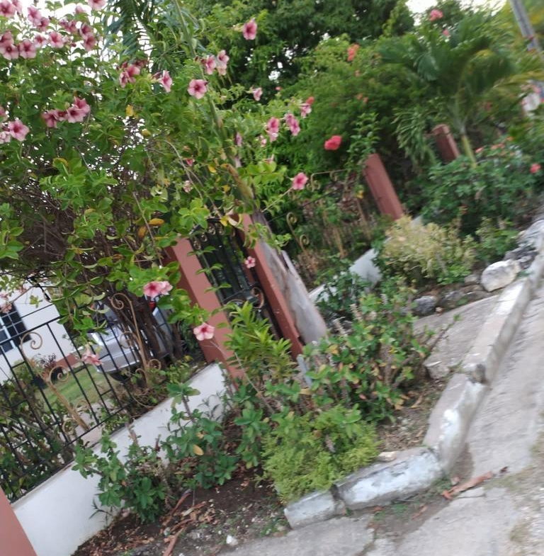 Fifth image of 10 Phoenix Park, Savanna la in Savanna-La-Mar, Westmoreland, Jamaica - property is For Sale