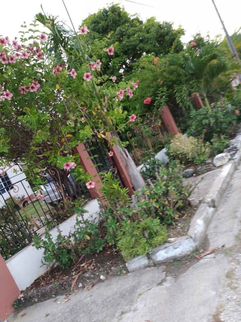 Fifth image of 10 Phoenix Park, Savanna la in Savanna-La-Mar, Westmoreland, Jamaica - property is For Sale