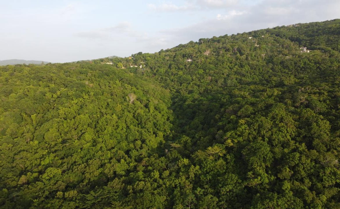 Twenty-Fifth image of Seaview, Hopewell in Hopewell, Hanover, Jamaica - property is For Sale