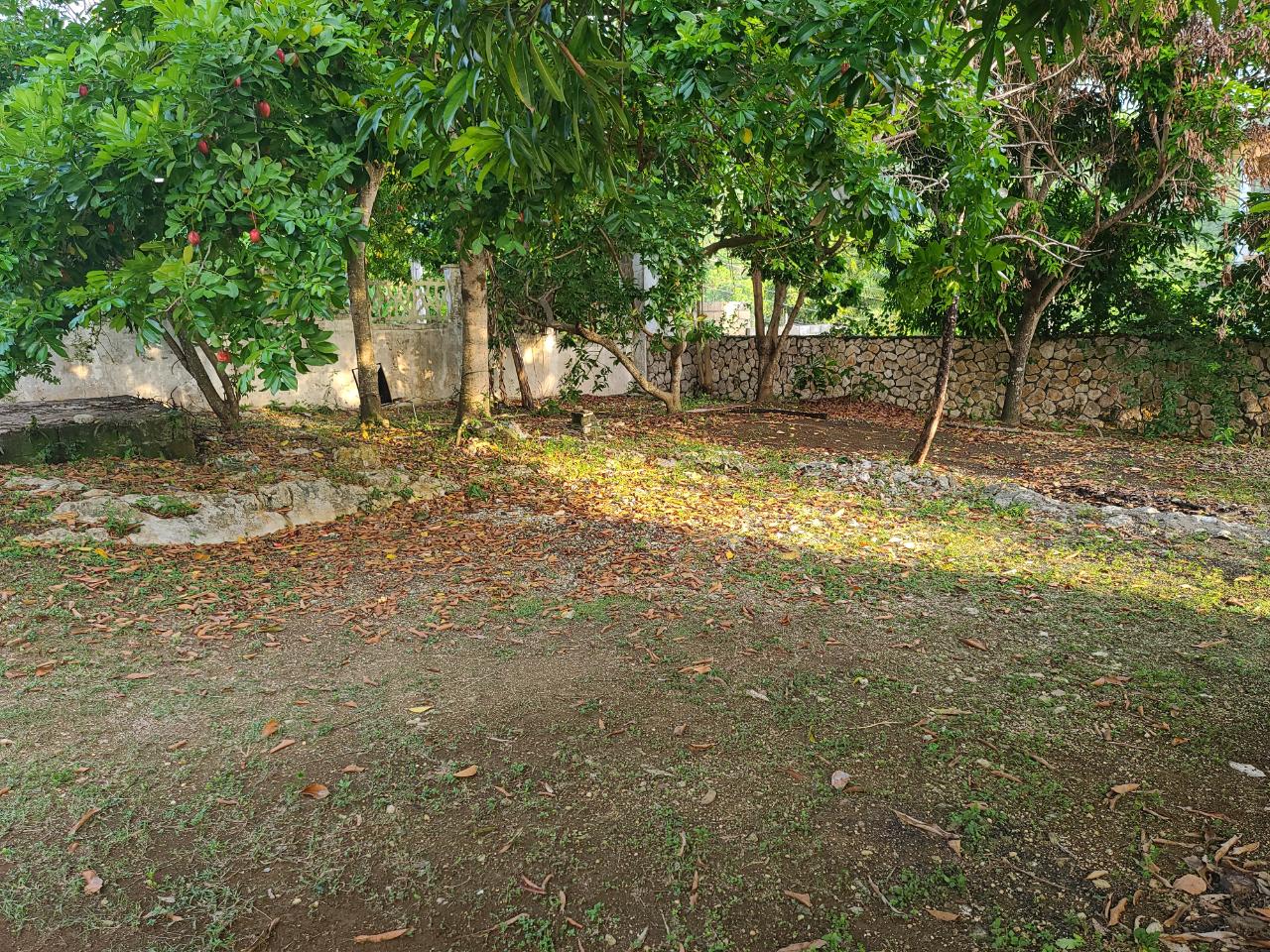 Eleventh image of Seaview, Hopewell in Hopewell, Hanover, Jamaica - property is For Sale
