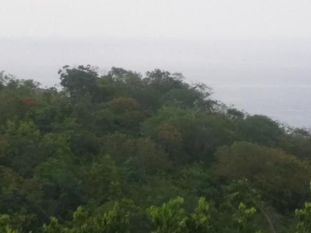 Eighteenth image of Seaview, Hopewell in Hopewell, Hanover, Jamaica - property is For Sale