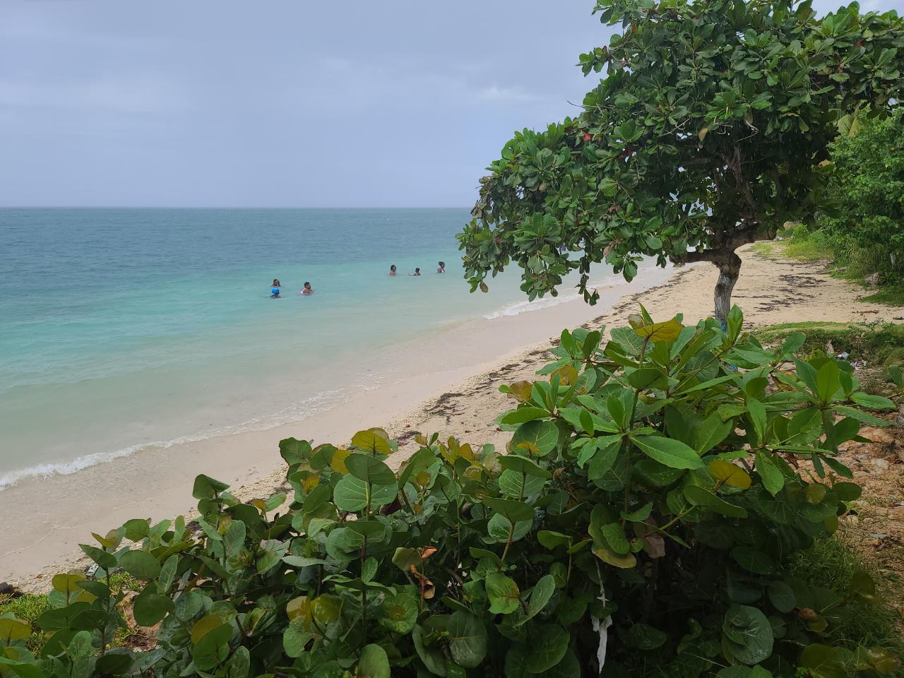 Third image of Seaview, Hopewell in Hopewell, Hanover, Jamaica - property is For Sale