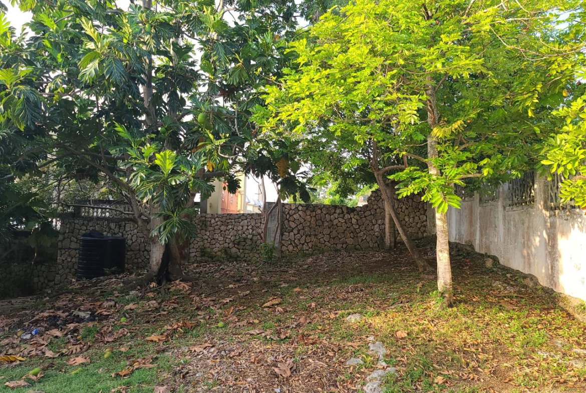 Ninth image of Seaview, Hopewell in Hopewell, Hanover, Jamaica - property is For Sale