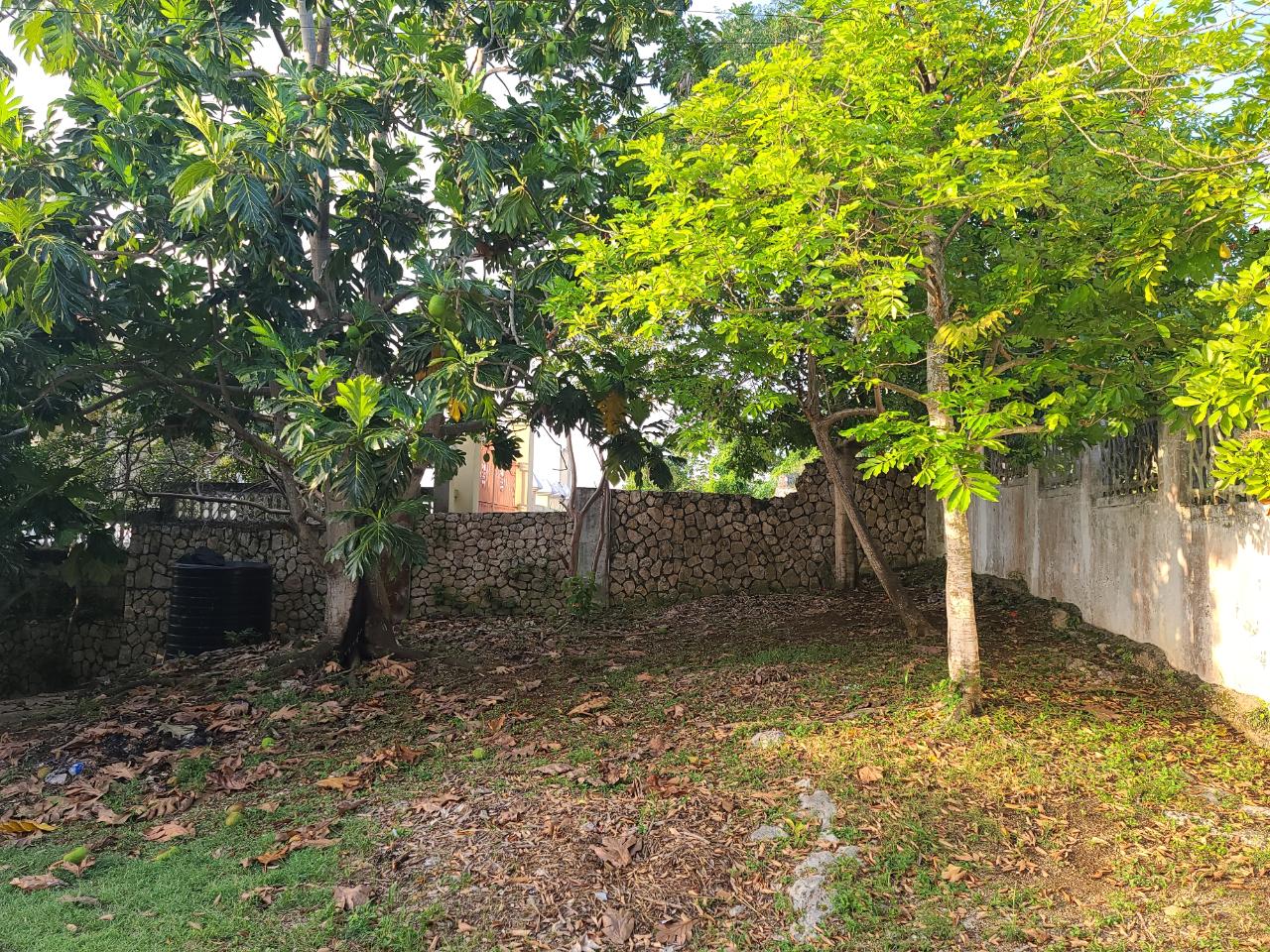 Ninth image of Seaview, Hopewell in Hopewell, Hanover, Jamaica - property is For Sale
