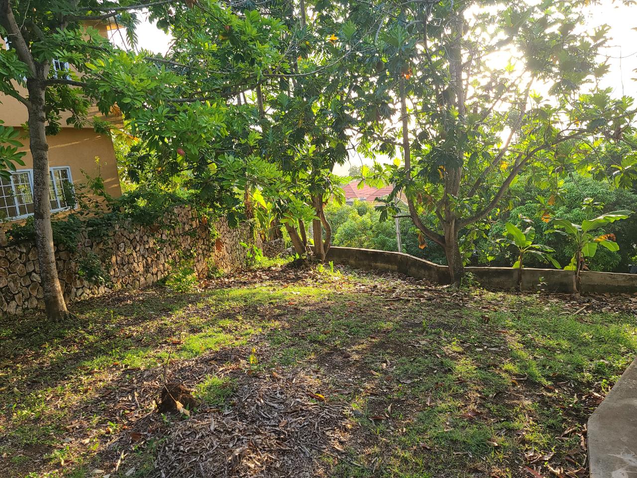 Tenth image of Seaview, Hopewell in Hopewell, Hanover, Jamaica - property is For Sale