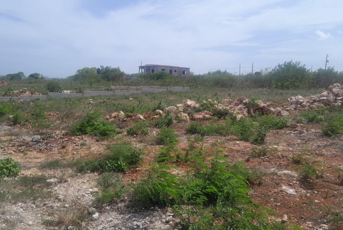 Sixth image of Lot 49 Bellevue Heights in Bellevue Heights, St. Catherine, Jamaica - property is For Sale