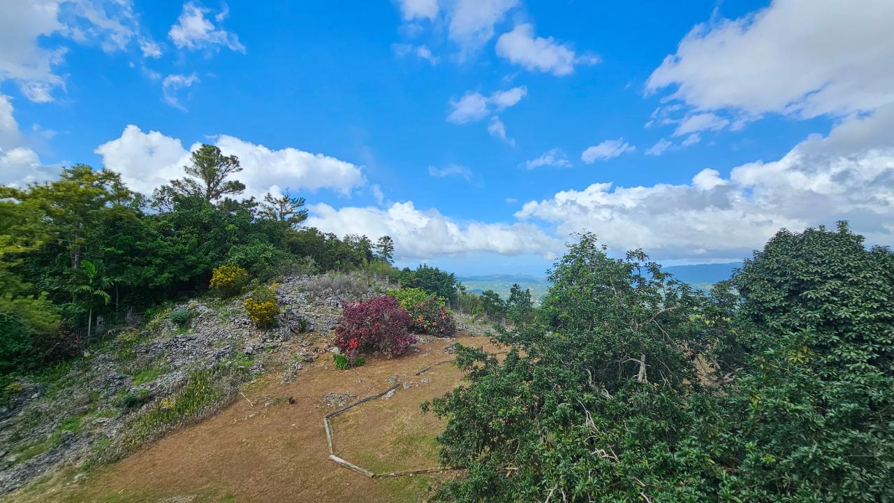 Nineteenth image of Lot 1 Coopers Hill in Red Hills, St. Andrew, Jamaica - property is For Sale