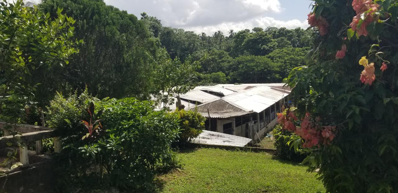 Tenth image of West Prospect in West Prospect, St. Catherine, Jamaica - property is For Sale