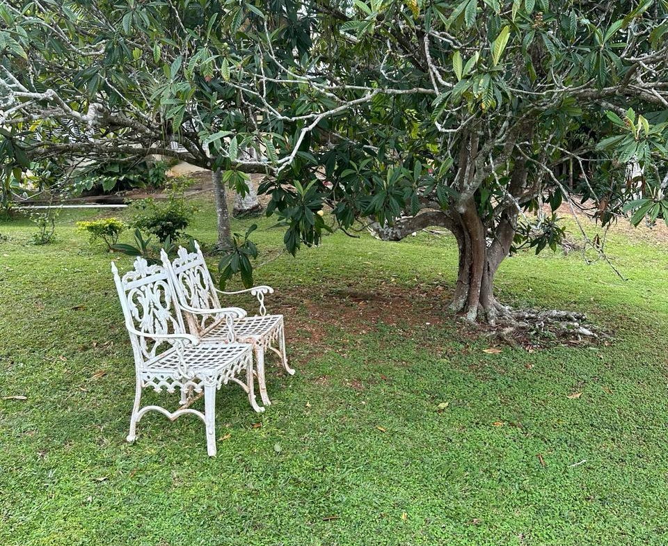 Sixth image of 2w- Upton in Upton, St. Ann, Jamaica - property is For Sale