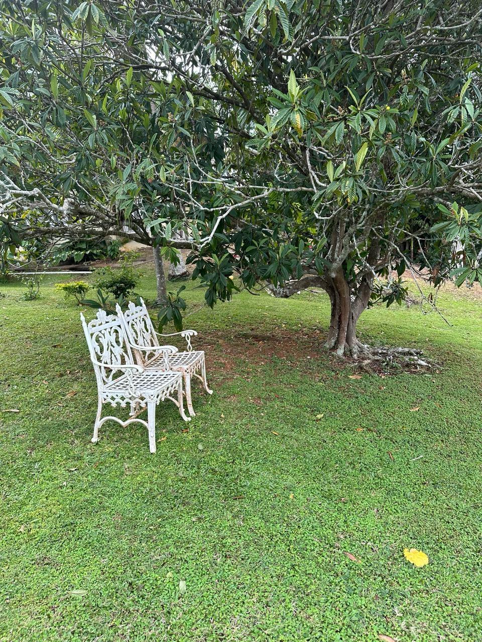 Sixth image of 2w- Upton in Upton, St. Ann, Jamaica - property is For Sale