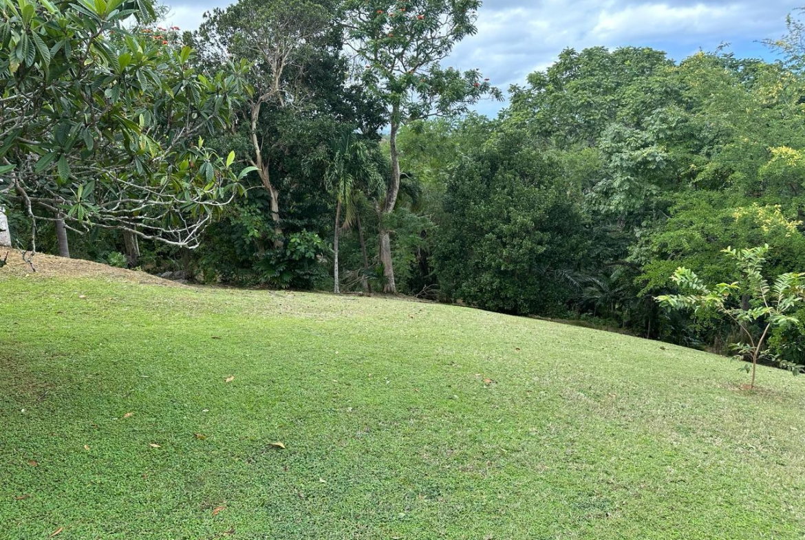 Seventh image of 2w- Upton in Upton, St. Ann, Jamaica - property is For Sale