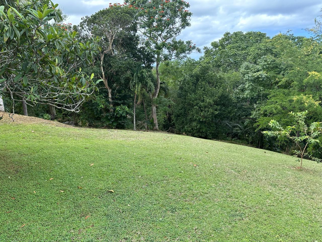 Seventh image of 2w- Upton in Upton, St. Ann, Jamaica - property is For Sale