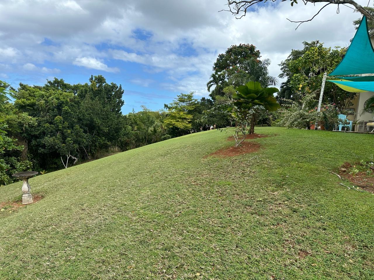 Eighth image of 2w- Upton in Upton, St. Ann, Jamaica - property is For Sale