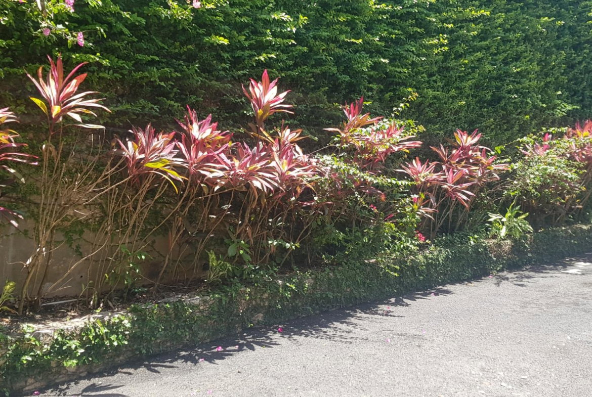 Second image of 9- Westgate Hills in Montego Bay, St. James, Jamaica - property is For Sale