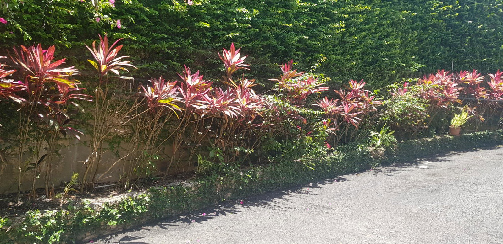 Second image of 9- Westgate Hills in Montego Bay, St. James, Jamaica - property is For Sale