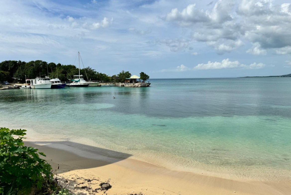 Twenty-Eighth image of 338 South Sea Park in White House WD, Westmoreland, Jamaica - property is For Sale