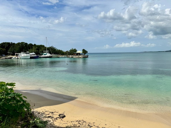 Twenty-Eighth image of 338 South Sea Park in White House WD, Westmoreland, Jamaica - property is For Sale