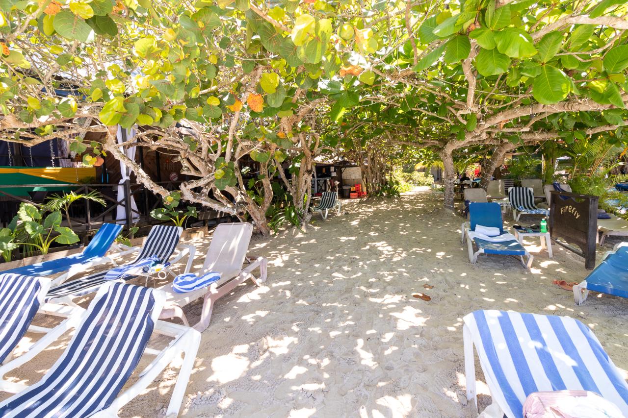 Twenty-First image of Norman Manley Boulevard in Negril, Westmoreland, Jamaica - property is For Sale