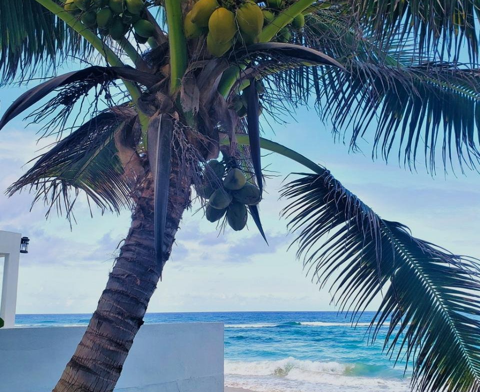 Twelfth image of Long Bay Beach, Portland in Long Bay, Portland, Jamaica - property is For Sale