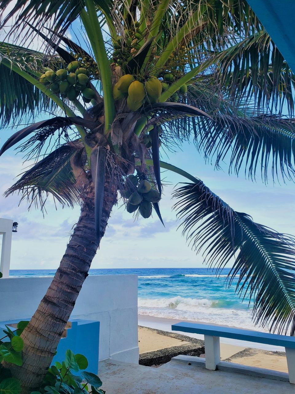 Twelfth image of Long Bay Beach, Portland in Long Bay, Portland, Jamaica - property is For Sale