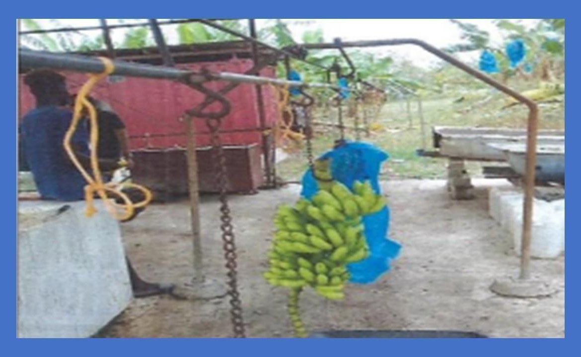 Sixteenth image of Lot-5 Ballards Valley in Ballards Valley, St. Mary, Jamaica - property is For Sale
