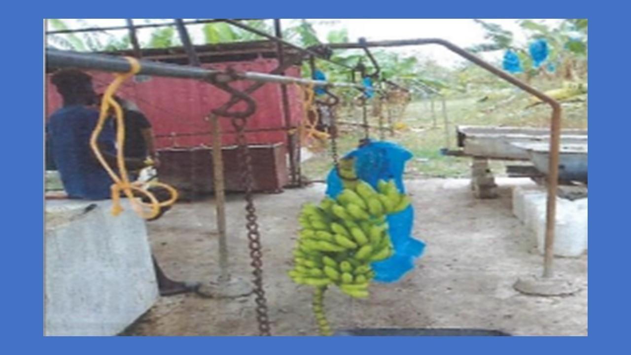 Sixteenth image of Lot-5 Ballards Valley in Ballards Valley, St. Mary, Jamaica - property is For Sale