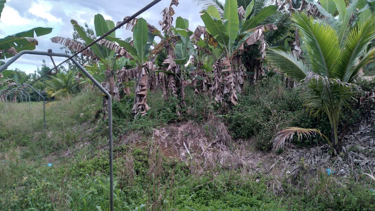 Fourth image of Lot-5 Ballards Valley in Ballards Valley, St. Mary, Jamaica - property is For Sale