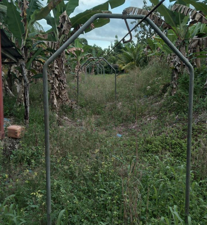 Fifth image of Lot-5 Ballards Valley in Ballards Valley, St. Mary, Jamaica - property is For Sale