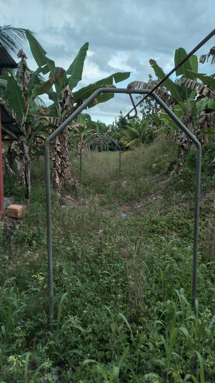 Fifth image of Lot-5 Ballards Valley in Ballards Valley, St. Mary, Jamaica - property is For Sale
