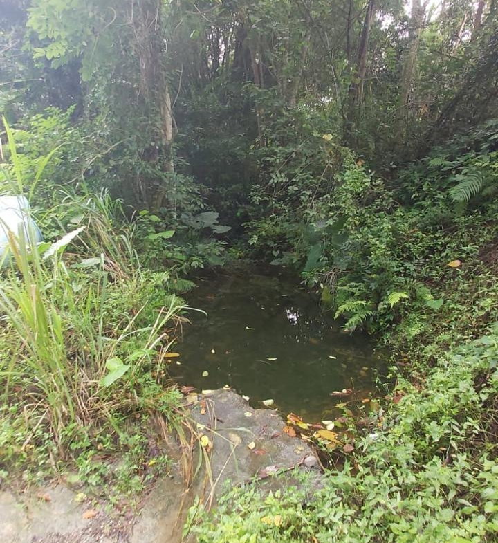 Seventh image of Lot-5 Ballards Valley in Ballards Valley, St. Mary, Jamaica - property is For Sale