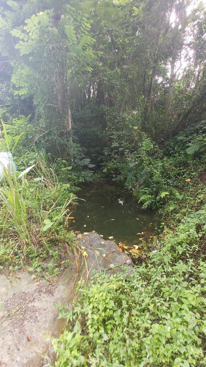 Seventh image of Lot-5 Ballards Valley in Ballards Valley, St. Mary, Jamaica - property is For Sale