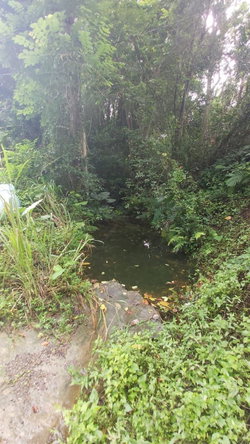 Seventh image of Lot-5 Ballards Valley in Ballards Valley, St. Mary, Jamaica - property is For Sale