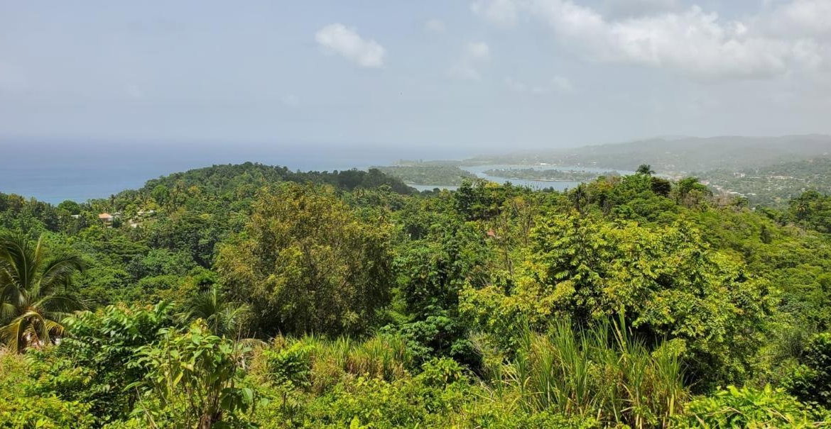 Second image of Wiltshire in Wiltshire, St. James, Jamaica - property is For Sale